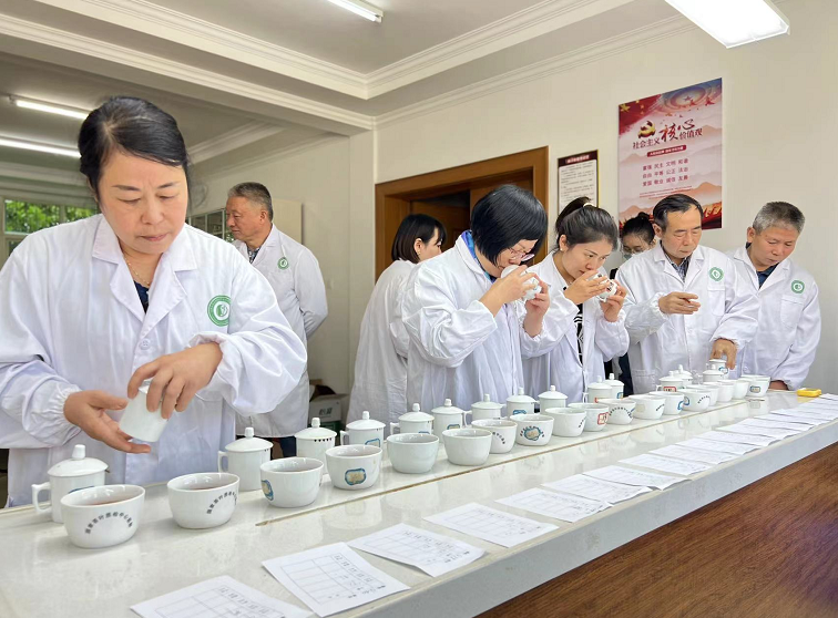 有关于湖南红茶“十大制茶工匠”、“十大产品品牌”专家评审会举行的新闻(3)