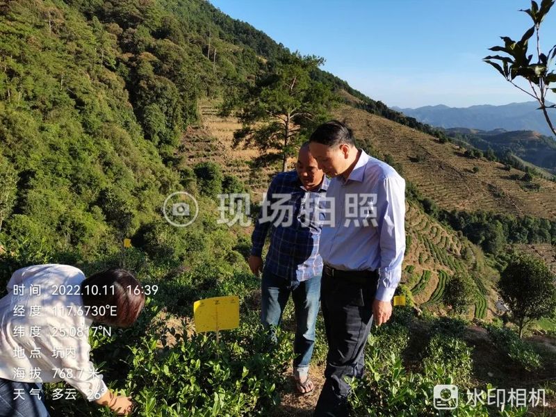有关于漳州市局领导到华安县开展茶叶病虫害绿色防控工作调研的资讯(1)