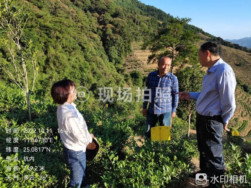 有关于漳州市局领导到华安县开展茶叶病虫害绿色防控工作调研的资讯