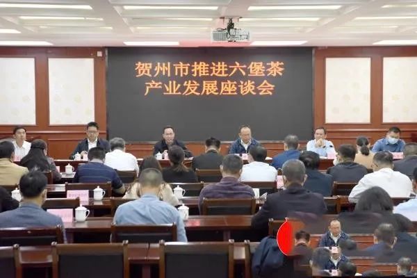 有关于贺州市召开推进六堡茶产业发展座谈会的内容