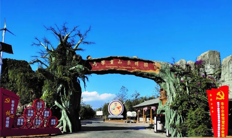 关于非凡十年:扎根新生代火山区,看腾冲茶产业如何走出一条特色养生茶旅之路的相关信息(1)