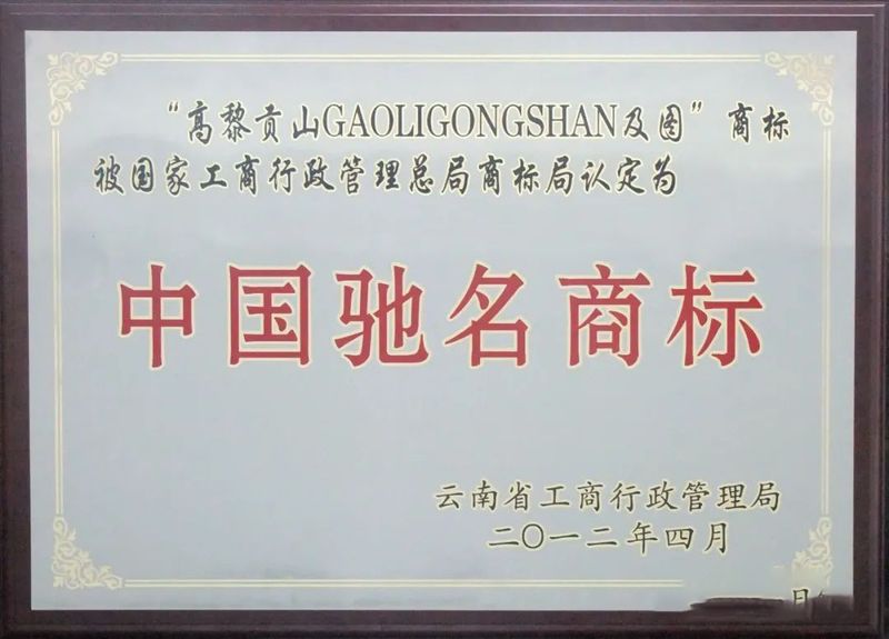 关于非凡十年:扎根新生代火山区,看腾冲茶产业如何走出一条特色养生茶旅之路的相关信息(4)