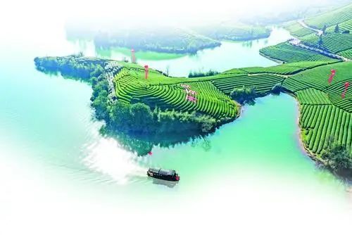 关于出海：这一“抹”清香里的国际范的消息