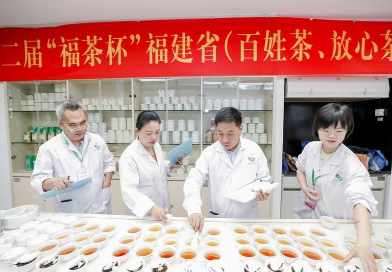 有关于第二届“福茶杯”福建省（百姓茶、放心茶）茶叶大赛举行  吸引意向订单超500万元的新闻