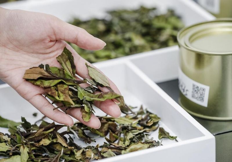 有关于第二届“福茶杯”福建省（百姓茶、放心茶）茶叶大赛举行  吸引意向订单超500万元的新闻(2)
