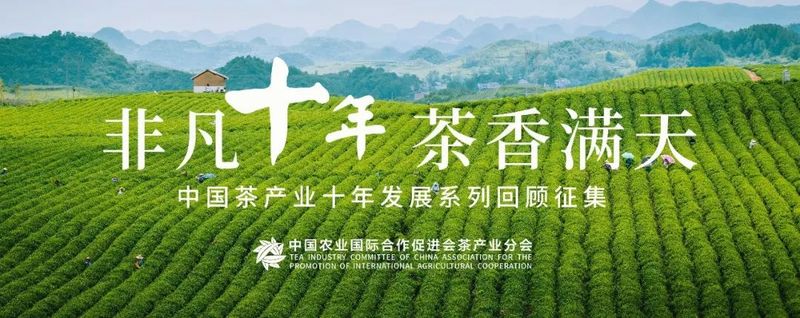 关于细分赛道 品牌创新——标准化与便捷化将使传统茶业焕新的内容