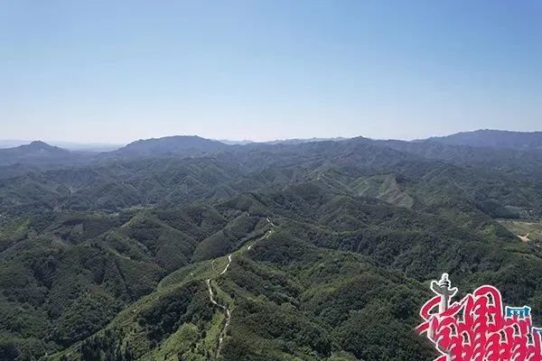 有关于多图来袭!速览梧州的六堡茶园秋色的信息