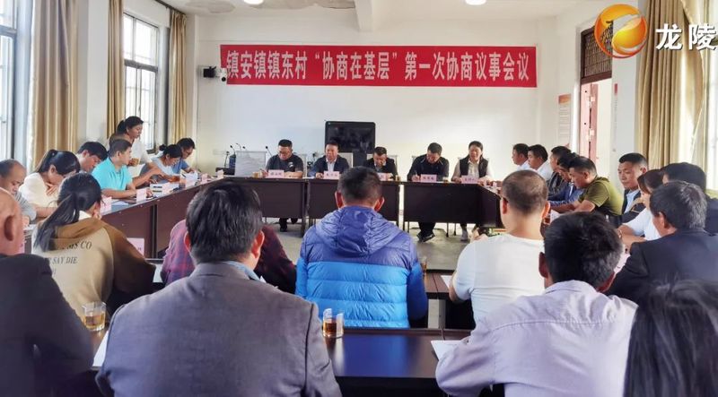 有关于龙陵:协商在基层 助推古茶树的保护与开发的信息
