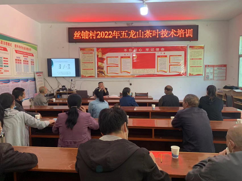 关于旬阳市农技站开展秋冬季茶园管理培训促茶产业提质增效的相关内容