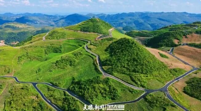 关于二十大时光：沿河茶村里的“新茶事”的信息