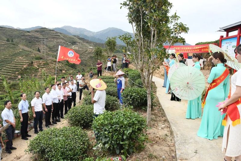 关于振兴茶产业 媒体来助力，厦门市安溪商会组织媒体记者走进安溪茶乡的相关内容(13)