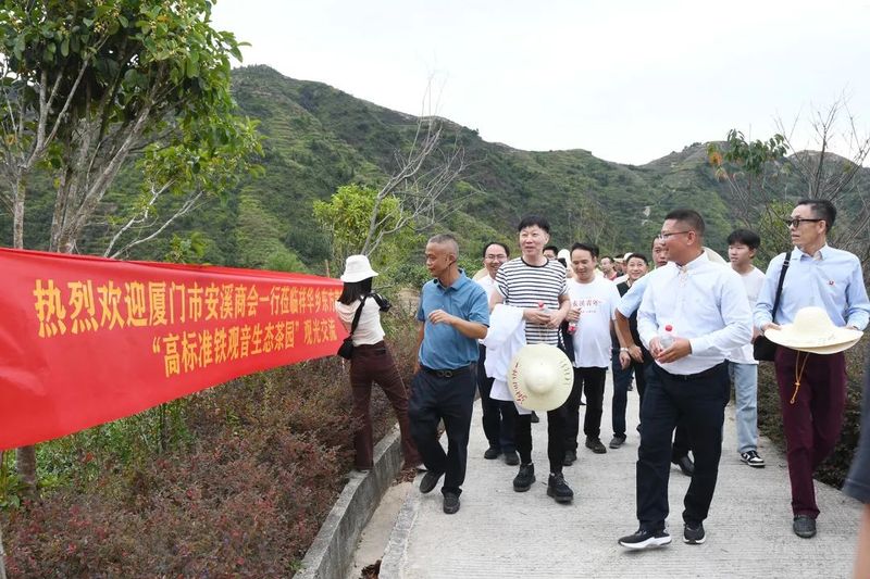 关于振兴茶产业 媒体来助力，厦门市安溪商会组织媒体记者走进安溪茶乡的相关内容(10)
