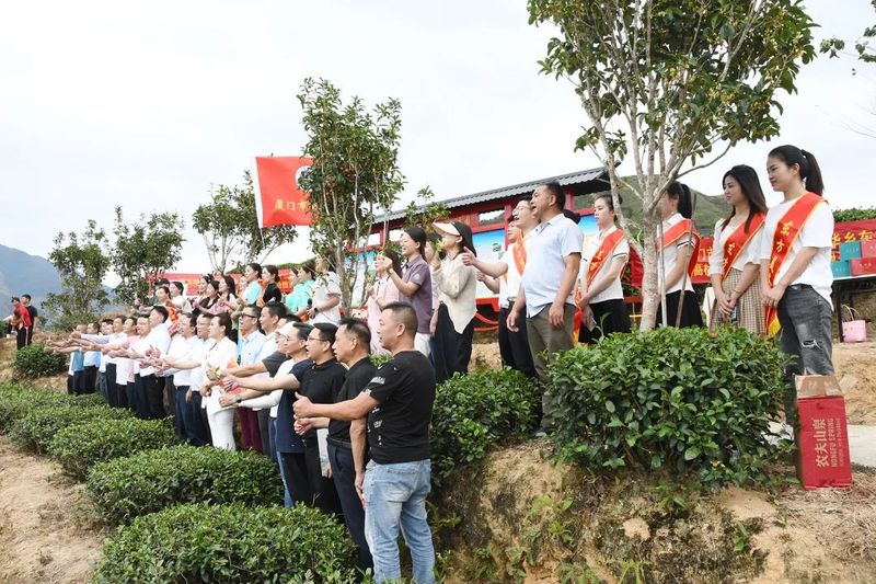 关于振兴茶产业 媒体来助力，厦门市安溪商会组织媒体记者走进安溪茶乡的相关内容(11)