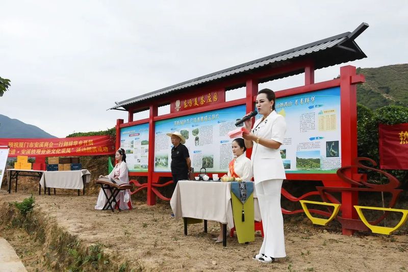 关于振兴茶产业 媒体来助力，厦门市安溪商会组织媒体记者走进安溪茶乡的相关内容(12)