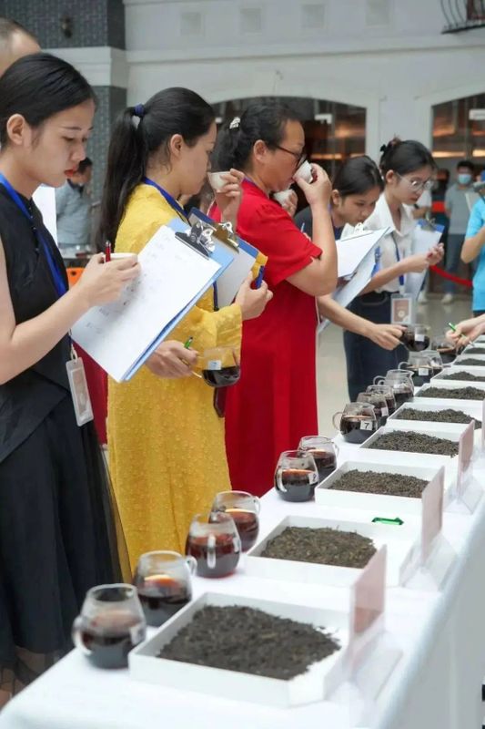 有关于54个茶样分获金、银、铜奖，“90后”茶人获金舌头金奖丨梧州六堡茶民间斗茶大赛总决赛精彩纷呈的相关内容(3)