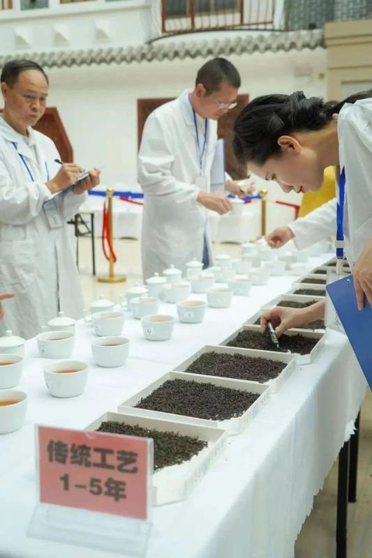 有关于54个茶样分获金、银、铜奖，“90后”茶人获金舌头金奖丨梧州六堡茶民间斗茶大赛总决赛精彩纷呈的相关内容(1)