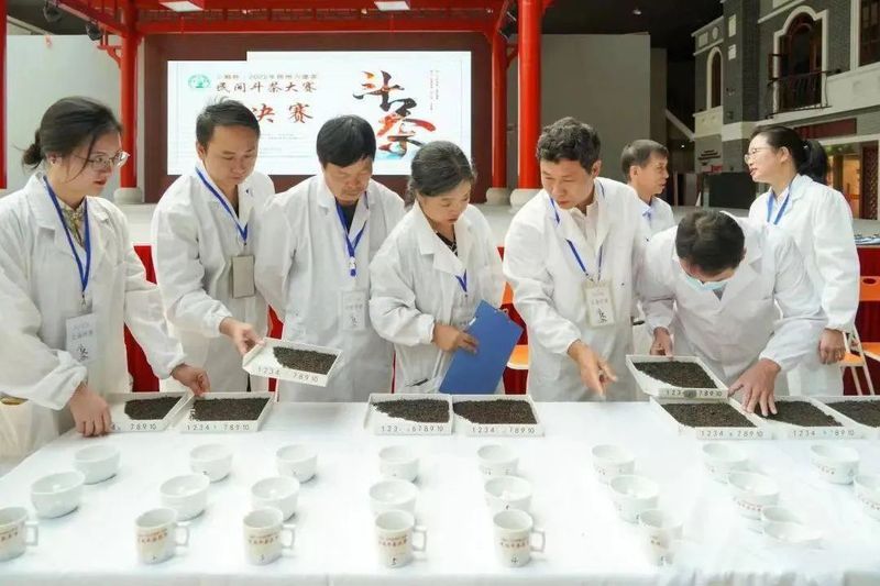 有关于54个茶样分获金、银、铜奖，“90后”茶人获金舌头金奖丨梧州六堡茶民间斗茶大赛总决赛精彩纷呈的相关内容