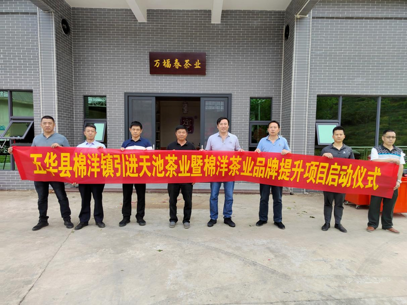 有关于新光村全力打造茶叶产业社区  产业兴 生态美 村民富—的相关内容(3)