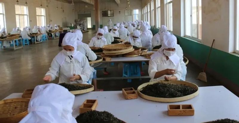 关于“梅州市茶产业发展规划”“一文读懂大国茶业”“山海杯斗茶赛强势来袭”的消息(2)