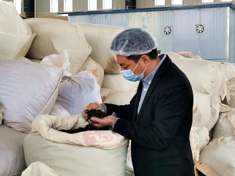关于贵黑茶业：全力做响做优黑茶品牌的相关信息(1)