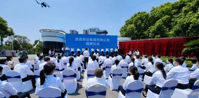 有关于中国茶地理标志地图上线！产茶大省竟然是……的相关信息(3)