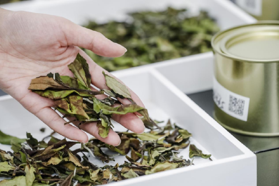 有关于第二届“福茶杯”福建省（百姓茶、放心茶）茶叶大赛开赛的消息(12)