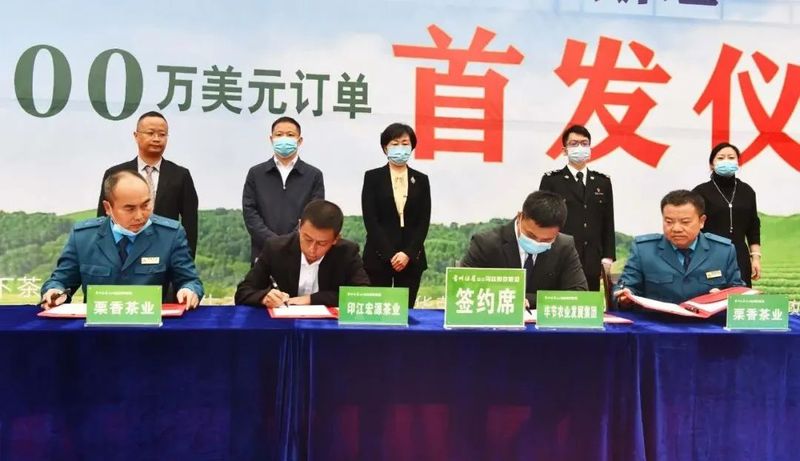 关于贵州绿茶6000万美元订单出口乌兹别克斯坦首发仪式在湄潭举行的内容(2)