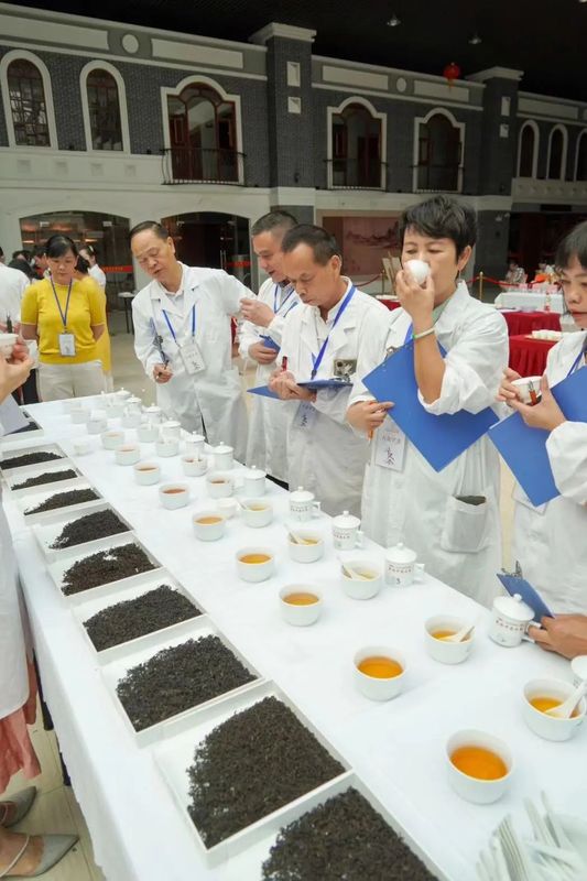 有关于梧茶飘香展魅力 六堡茶韵众人捧，三鹤杯·2022年梧州六堡茶民间斗茶大赛亮点频现的信息(5)