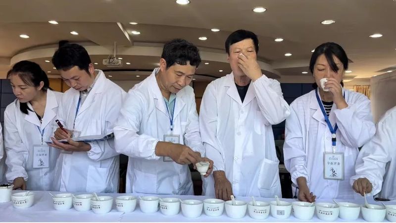 有关于梧茶飘香展魅力 六堡茶韵众人捧，三鹤杯·2022年梧州六堡茶民间斗茶大赛亮点频现的信息(6)