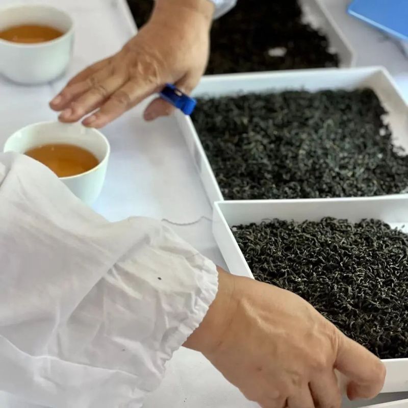 有关于梧茶飘香展魅力 六堡茶韵众人捧，三鹤杯·2022年梧州六堡茶民间斗茶大赛亮点频现的信息(4)