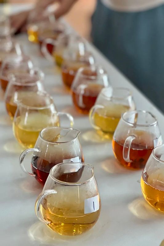 有关于梧茶飘香展魅力 六堡茶韵众人捧，三鹤杯·2022年梧州六堡茶民间斗茶大赛亮点频现的信息(3)