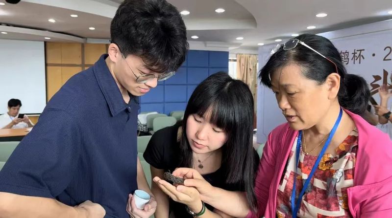 有关于梧茶飘香展魅力 六堡茶韵众人捧，三鹤杯·2022年梧州六堡茶民间斗茶大赛亮点频现的信息(8)