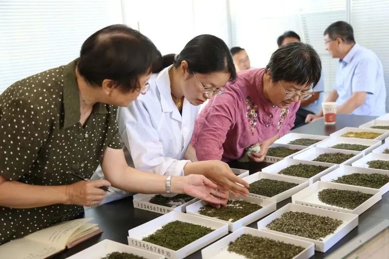关于首届江苏茅山茶海斗茶邀请赛圆满落幕的内容(1)