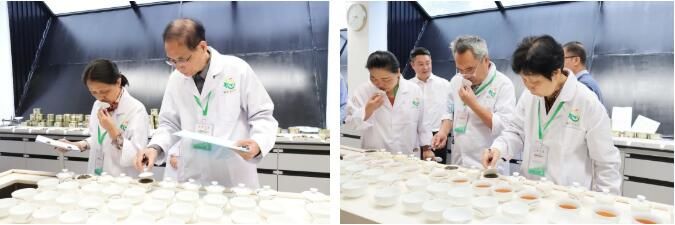 有关于聚焦茶叶赛事，助推福茶发展，这杯“百姓茶、放心茶”大有深意的信息(8)
