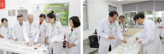 有关于聚焦茶叶赛事，助推福茶发展，这杯“百姓茶、放心茶”大有深意的信息(9)