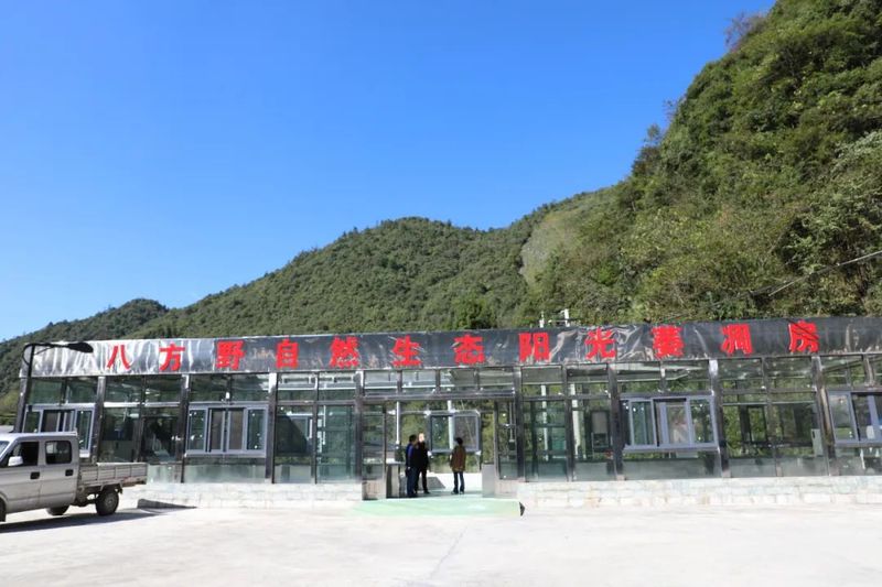 有关于鹤峰县：荒山野茶成致富“黄金叶”的相关内容(2)