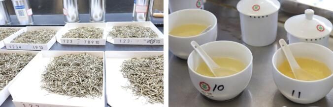 关于赛出品质好茶！2022年福州茉莉花茶茶王赛热烈开展的最新消息(1)