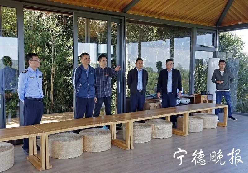 有关于福鼎市场监管局开展福鼎白茶有机认证“双随机，一公开”监督检查工作的相关信息(2)