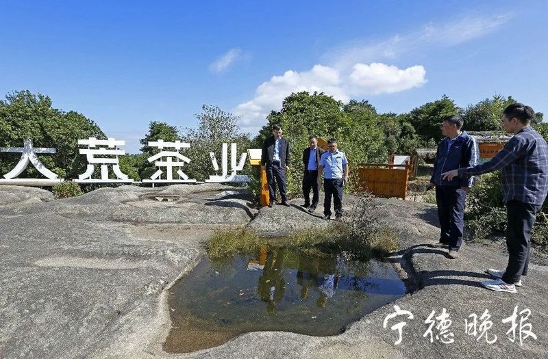 有关于福鼎市场监管局开展福鼎白茶有机认证“双随机，一公开”监督检查工作的相关信息(1)