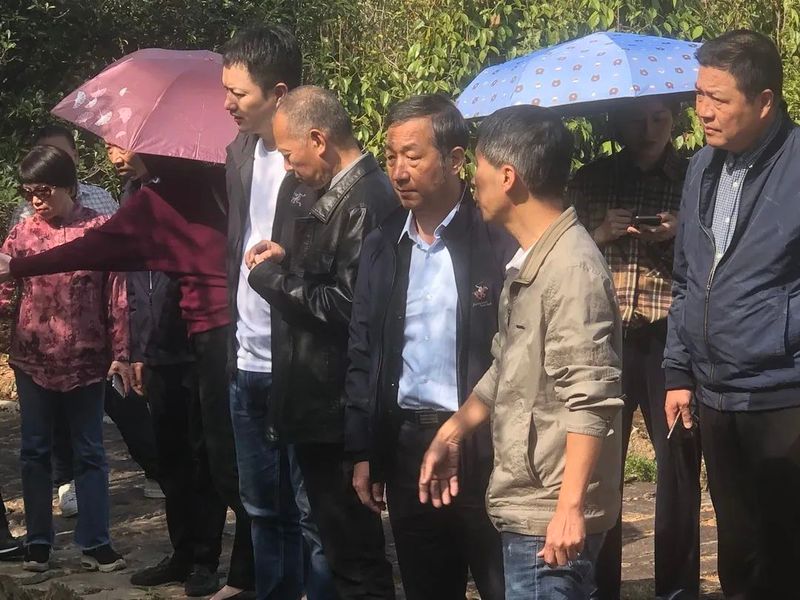 有关于福鼎市茶业协会支部委员会、福鼎市茶业协会组织部分企业开展“学习二十大精神的内容(9)