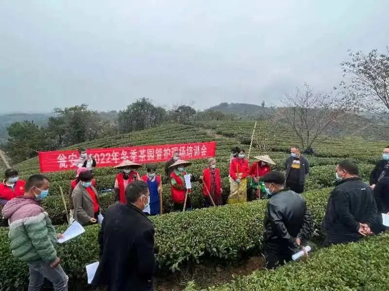 有关于冬管进行时:瓮安在行动的新闻(2)