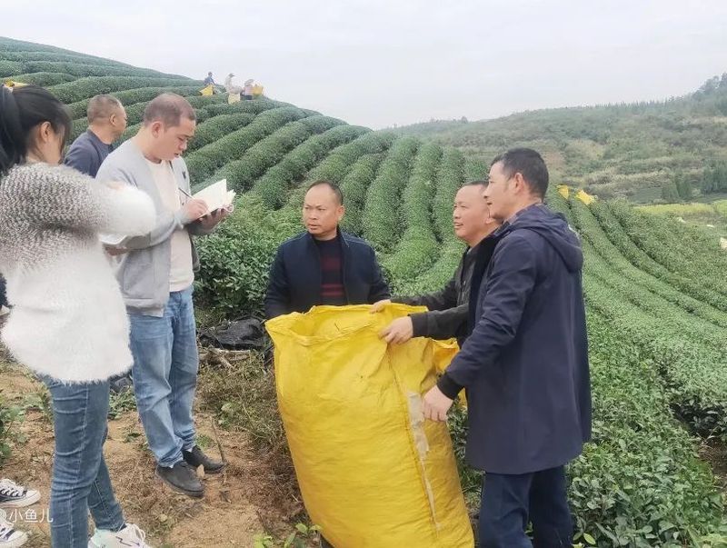 有关于冬管进行时:瓮安在行动的新闻(1)