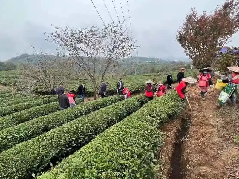 有关于冬管进行时:瓮安在行动的新闻(3)