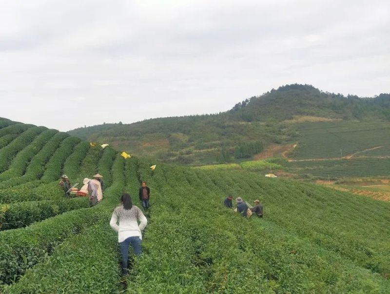 有关于冬管进行时:瓮安在行动的新闻