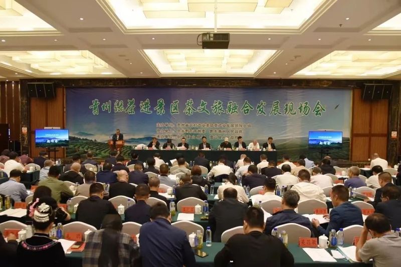有关于西江千户苗寨：茶文旅融合释放乡村产业新动能的最新消息(12)