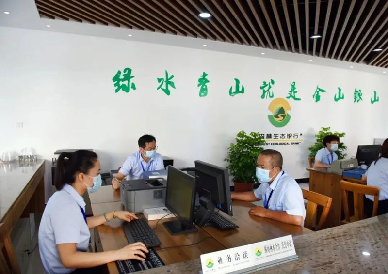 有关于践行“两山”理念，走好绿色发展之路的消息(5)