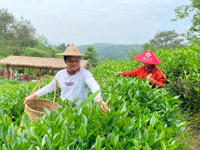 有关于践行“两山”理念，走好绿色发展之路的消息(3)