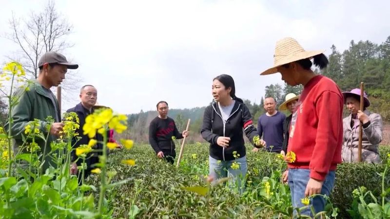 有关于践行“两山”理念，走好绿色发展之路的消息(6)