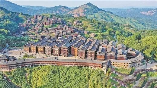 有关于柳州三江布央村:因茶强村 因茶富民的资讯(2)