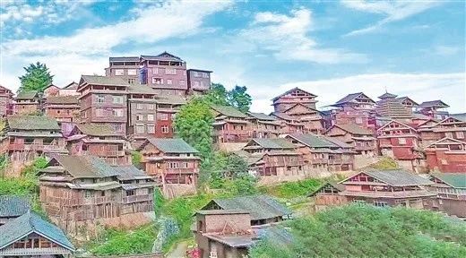 有关于柳州三江布央村:因茶强村 因茶富民的资讯